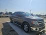 2013 GRAY Ford F-150 FX2 SuperCrew 5.5-ft. Bed 2WD (1FTFW1CFXDK) with an 5.0L V8 engine, 6-Speed Automatic transmission, located at 607 S Seven Points BLVD, Seven Points, TX, 75143, (430) 255-4030, 32.313934, -96.207932 - Photo#1