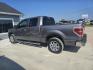 2013 GRAY Ford F-150 FX2 SuperCrew 5.5-ft. Bed 2WD (1FTFW1CFXDK) with an 5.0L V8 engine, 6-Speed Automatic transmission, located at 607 S Seven Points BLVD, Seven Points, TX, 75143, (430) 255-4030, 32.313934, -96.207932 - Photo#3
