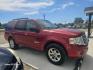 2008 MAROON Ford Expedition XLT 2WD (1FMFU15558L) with an 5.4L V8 SOHC 16V engine, 6-Speed Automatic Overdrive transmission, located at 607 S Seven Points BLVD, Seven Points, TX, 75143, (430) 255-4030, 32.313934, -96.207932 - Photo#1