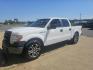 2014 WHITE Ford F-150 XLT SuperCrew 5.5-ft. Bed 2WD (1FTEW1CM8EK) with an 3.7L V6 DOHC 24V engine, 6-Speed Automatic transmission, located at 533 S Seven Points BLVD, Seven Points, TX, 75143, (430) 255-4030, 32.313999, -96.209351 - Photo#0