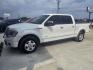 2014 WHITE Ford F-150 Platinum SuperCrew 6.5-ft. Bed 2WD (1FTFW1CT7EF) with an 3.5L V6 TURBO engine, 6-Speed Automatic transmission, located at 607 S Seven Points BLVD, Seven Points, TX, 75143, (430) 255-4030, 32.313934, -96.207932 - Photo#0