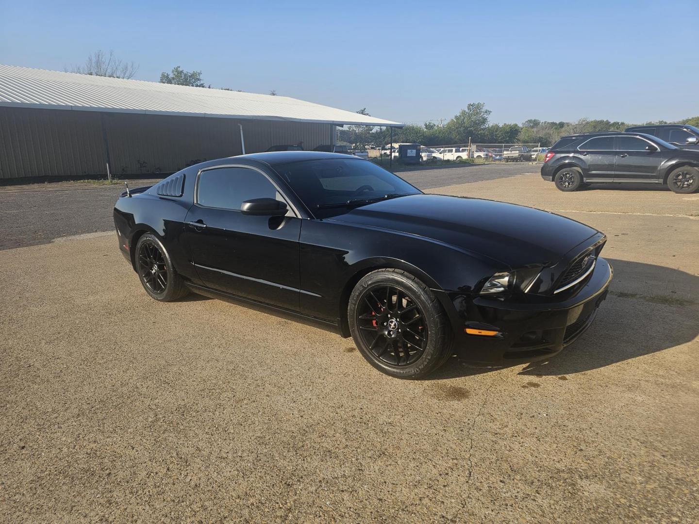 2014 BLACK Ford Mustang V6 Coupe (1ZVBP8AM4E5) with an 3.7L V6 DOHC 24V engine, located at 533 S Seven Points BLVD, Seven Points, TX, 75143, (430) 255-4030, 32.313999, -96.209351 - Photo#1