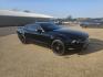 2014 BLACK Ford Mustang V6 Coupe (1ZVBP8AM4E5) with an 3.7L V6 DOHC 24V engine, located at 533 S Seven Points BLVD, Seven Points, TX, 75143, (430) 255-4030, 32.313999, -96.209351 - Photo#1