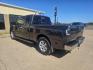 2004 GRAY Nissan Titan LE King Cab 2WD (1N6AA06A94N) with an 5.6L V8 DOHC 32V engine, 5-Speed Automatic Overdrive transmission, located at 533 S Seven Points BLVD, Seven Points, TX, 75143, (430) 255-4030, 32.313999, -96.209351 - Photo#3