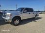 2013 SILVER Ford F-150 Platinum SuperCrew 6.5-ft. Bed 2WD (1FTFW1CT9DF) with an 3.5L V6 TURBO engine, 6-Speed Automatic transmission, located at 607 S Seven Points BLVD, Seven Points, TX, 75143, (430) 255-4030, 32.313934, -96.207932 - Photo#0