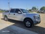 2013 SILVER Ford F-150 Platinum SuperCrew 6.5-ft. Bed 2WD (1FTFW1CT9DF) with an 3.5L V6 TURBO engine, 6-Speed Automatic transmission, located at 607 S Seven Points BLVD, Seven Points, TX, 75143, (430) 255-4030, 32.313934, -96.207932 - Photo#1