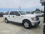 2012 WHITE Ford F-150 FX2 SuperCrew 5.5-ft. Bed 2WD (1FTEW1CM4CK) with an 3.7L V6 DOHC 24V engine, 6-Speed Automatic transmission, located at 607 S Seven Points BLVD, Seven Points, TX, 75143, (430) 255-4030, 32.313934, -96.207932 - Photo#1