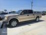 2011 GOLD Ford F-150 FX2 SuperCrew 5.5-ft. Bed 2WD (1FTEW1CM7BF) with an 3.7L V6 DOHC 24V engine, 4-Speed Automatic transmission, located at 607 S Seven Points BLVD, Seven Points, TX, 75143, (430) 255-4030, 32.313934, -96.207932 - Photo#0