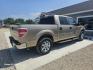 2011 GOLD Ford F-150 FX2 SuperCrew 5.5-ft. Bed 2WD (1FTEW1CM7BF) with an 3.7L V6 DOHC 24V engine, 4-Speed Automatic transmission, located at 607 S Seven Points BLVD, Seven Points, TX, 75143, (430) 255-4030, 32.313934, -96.207932 - Photo#2