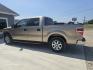 2011 GOLD Ford F-150 FX2 SuperCrew 5.5-ft. Bed 2WD (1FTEW1CM7BF) with an 3.7L V6 DOHC 24V engine, 4-Speed Automatic transmission, located at 607 S Seven Points BLVD, Seven Points, TX, 75143, (430) 255-4030, 32.313934, -96.207932 - Photo#3