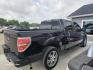 2014 BLACK Ford F-150 FX2 SuperCrew 5.5-ft. Bed 2WD (1FTFW1CF4EK) with an 5.0L V8 engine, 6-Speed Automatic transmission, located at 607 S Seven Points BLVD, Seven Points, TX, 75143, (430) 255-4030, 32.313934, -96.207932 - Photo#2