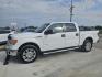 2012 WHITE Ford F-150 XLT SuperCrew 6.5-ft. Bed 2WD (1FTFW1CT0CK) with an 3.5L V6 TURBO engine, 6-Speed Automatic transmission, located at 607 S Seven Points BLVD, Seven Points, TX, 75143, (430) 255-4030, 32.313934, -96.207932 - Photo#0