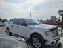 2012 WHITE Ford F-150 XLT SuperCrew 6.5-ft. Bed 2WD (1FTFW1CT0CK) with an 3.5L V6 TURBO engine, 6-Speed Automatic transmission, located at 607 S Seven Points BLVD, Seven Points, TX, 75143, (430) 255-4030, 32.313934, -96.207932 - Photo#1