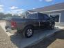2019 GRAY RAM 1500 Tradesman Quad Cab 2WD (1C6RR6FG8KS) with an 3.6L V6 DOHC 24V FFV engine, 8A transmission, located at 607 S Seven Points BLVD, Seven Points, TX, 75143, (430) 255-4030, 32.313934, -96.207932 - Photo#2