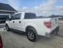 2012 WHITE Ford F-150 FX2 SuperCrew 5.5-ft. Bed 2WD (1FTEW1CM0CF) with an 3.7L V6 DOHC 24V engine, 6-Speed Automatic transmission, located at 607 S Seven Points BLVD, Seven Points, TX, 75143, (430) 255-4030, 32.313934, -96.207932 - Photo#3
