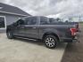 2015 DARK GRAY Ford F-150 XLT SuperCrew 5.5-ft. Bed 2WD (1FTEW1CP5FK) with an 2.7L V6 DOHC 24V engine, 6-Speed Automatic transmission, located at 607 S Seven Points BLVD, Seven Points, TX, 75143, (430) 255-4030, 32.313934, -96.207932 - Photo#3