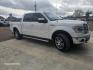 2014 WHITE Ford F-150 FX4 SuperCrew 5.5-ft. Bed 4WD (1FTFW1ET6EK) with an 3.5L V6 TURBO engine, 6A transmission, located at 607 S Seven Points BLVD, Seven Points, TX, 75143, (430) 255-4030, 32.313934, -96.207932- Photo#1