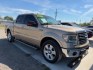 2013 Tan Ford F-150 Platinum SuperCrew 6.5-ft. Bed 2WD (1FTFW1CT1DK) with an 3.5L V6 TURBO engine, 6-Speed Automatic transmission, located at 607 S Seven Points BLVD, Seven Points, TX, 75143, (430) 255-4030, 32.313934, -96.207932- Photo#0