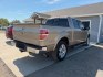 2013 Tan Ford F-150 Platinum SuperCrew 6.5-ft. Bed 2WD (1FTFW1CT1DK) with an 3.5L V6 TURBO engine, 6-Speed Automatic transmission, located at 607 S Seven Points BLVD, Seven Points, TX, 75143, (430) 255-4030, 32.313934, -96.207932- Photo#3